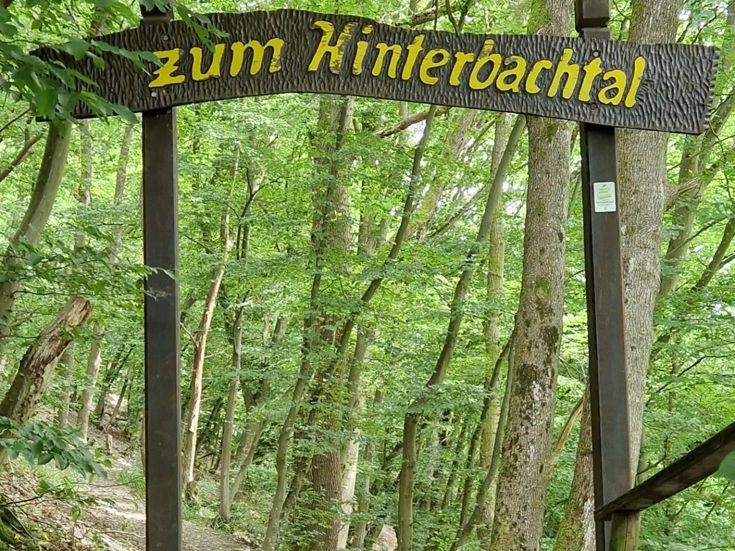 Ferienwohnung im Moseltal Veldenz Exterior foto